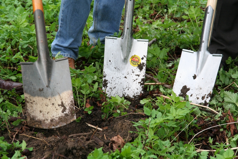 pepiniere-ESPARRON-min_work-lawn-flower-tool-green-backyard-1103633-pxhere.com